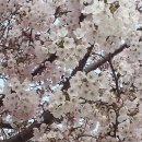 남해쁠라야 이미지