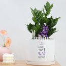 튼튼업한의원 이미지