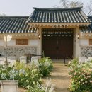 결혼일기 #5 본식스냅ㅣ이경민 스튜디오(pick), 니로스냅, 스튜디오더블룸