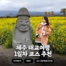 돼지야놀자 | 제주 태교여행 1일차 코스🌼 유채꽃 명소 휴애리부터 성산 맛집까지