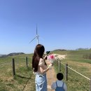 블로우핏 | 컬링에센스추천 미엘 블랙에디션 올데이볼륨핏 컬링업 포밍 사용 후기