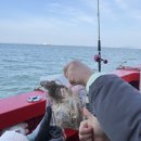 수양호 | 🎣인천 수양호 주꾸미 낚시 내 돈 내산 후기(물때의 중요성,,‼️)