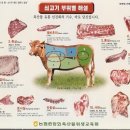 소고기면 이미지