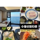 수평선민박 | [경주 맛집] 수평선회타운 : 바다뷰가 보이는 깔끔한 횟집, A코스 후기_내돈내산