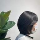 101-운정2-101 이미지