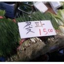 소소미소