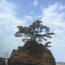 와석2리마을회관 이미지