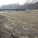 금가면사무소 이미지