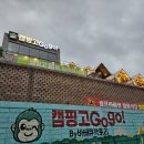 캠핑고 이미지