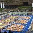 공명 유도 주짓수 이미지