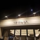 나무아래모모