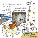 &lt;유리한하루&gt;송파데이트 비정형 썬캐쳐 원데이클래스 후기