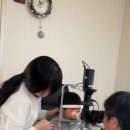 자연나라 어린이집 이미지