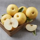 성대경희한의원 이미지