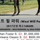 송마목장 이미지