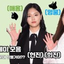 이달의소녀 - 투진의 케미 (희진, 현진) ??? : 애옹! ??? : 멍멍! 이미지