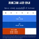선셋커피스탠드 | 하와이 거북이 스노클링 투어준비물 이용후기 선셋투어 비교 벌금까지