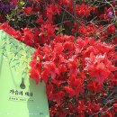 몸사랑마음사랑 한약국 이미지