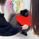 멍스널컬러 수원 컬러를채우다 퍼스널컬러 진단