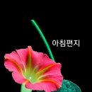 ~화이트데이(3월14일) 이미지