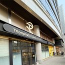 트리옹프닥터의원 네이버블로그
