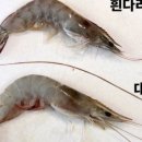 반석수산