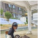 용인대튼튼태권도장 이미지