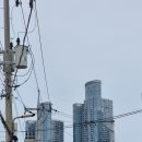 해운대블루라인(주)청사포정거장 이미지