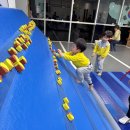 레인보우줄넘기&합기도양우관 이미지