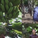 순일농장 이미지