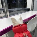 넥센타이어 남지점 | 타이어방문장착 가능한 넥스트레벨 의정부타이어 교체