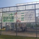 서초집