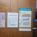 아리채요양병원 | 대구 경북신경외과 | 결혼 전 &#39;가다실9&#39; 예방접종 후기(자궁경부암 예방 주사 저렴한 곳)
