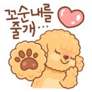 착한강아지 이미지