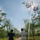 세종동_중앙공원 야구장 축구장 사이 | 세종시 피크닉 데이트 아이과함께가기좋은 세종중앙공원