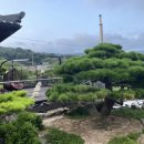 청솔한옥 | [대구/청도] 전용 평상이 있는 계곡을 품은 펜션, 청솔한옥스테이