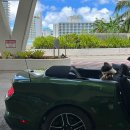 두진카 | 괌ㅣ렌트카 머스탱 스포츠카 오픈카 예약방법 내돈내산 후기