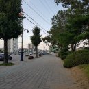 삼척가볼만한곳 보훈공원 황산공원
