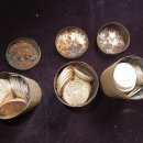 금화애견 이미지