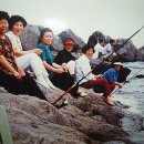 나무그늘의 작은집 작은세상 이미지