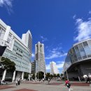 2024-주220 | 거대 공룡전 巨大恐竜展 2024 - ① 생물의 거대화 @パシフィコ横浜 퍼시피코 요코하마