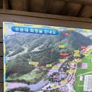 거창 가볼 만한 곳, 수승대 출렁다리 후기 거창계곡