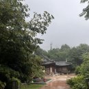 청운 작은도서관 | [취준생 일기] 폭우 속 부암동 &#34;청운문학도서관&#34; 방문기 및 이용방법