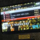 멋쟁이단란주점 네이버블로그