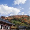 표충사 - 1903 | 표충사