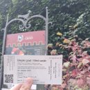 블레드 | [동유럽] 블레드 성 후기 !