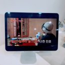 모하디네일