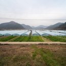 상정1구 이미지