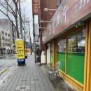 비 속에 파묻힌 3월