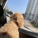 패밀리동물병원 이미지